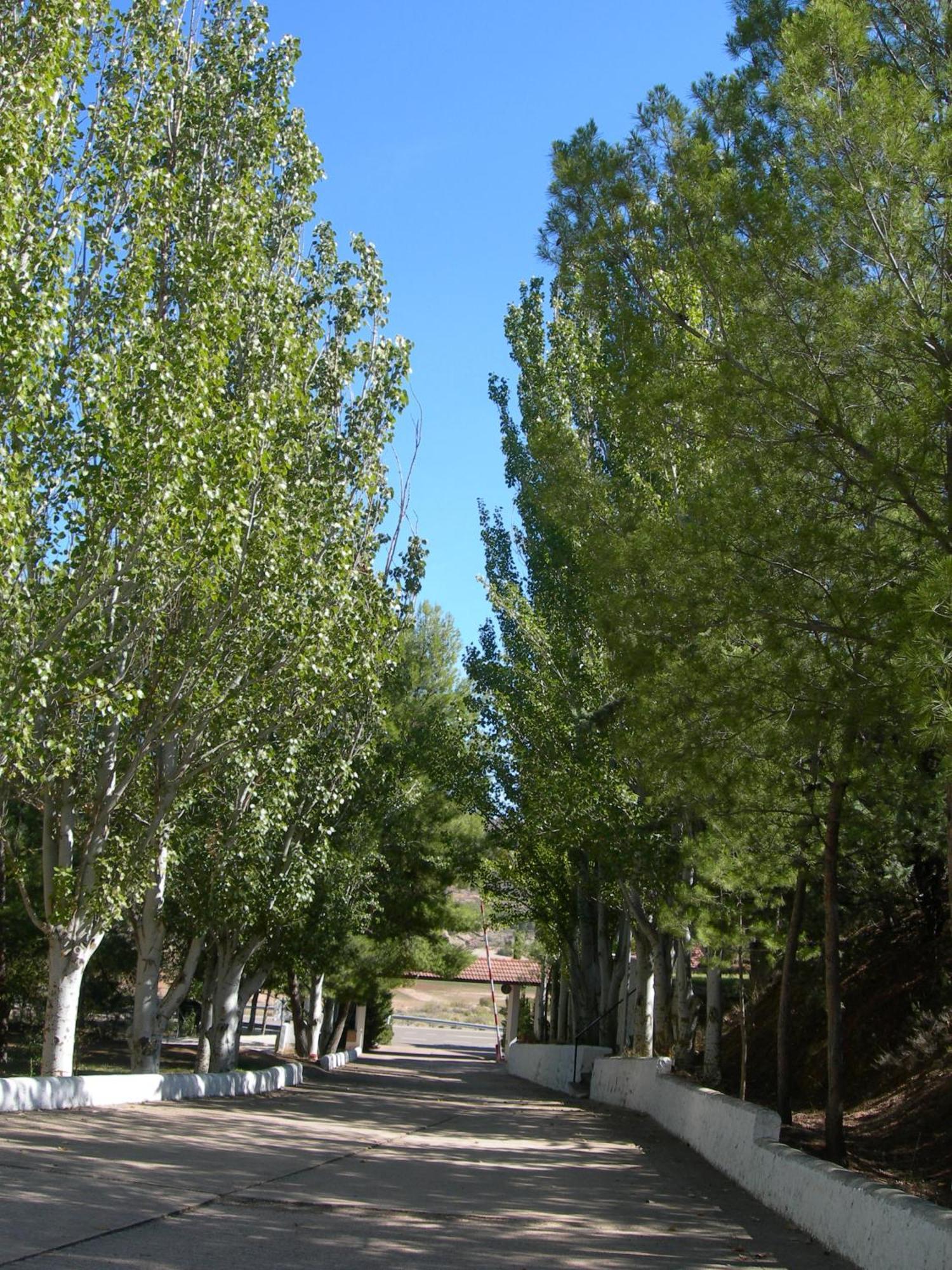 Lago Resort Nuévalos Exterior foto