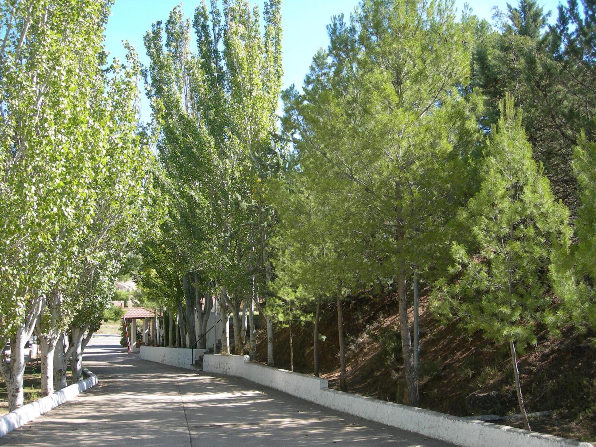 Lago Resort Nuévalos Exterior foto